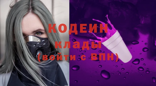 не бодяженный Заводоуковск