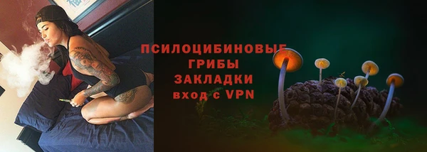 не бодяженный Заводоуковск