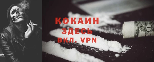 не бодяженный Заводоуковск
