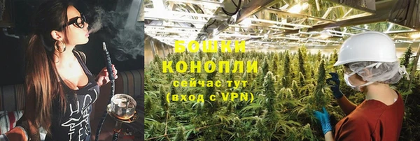 не бодяженный Заводоуковск