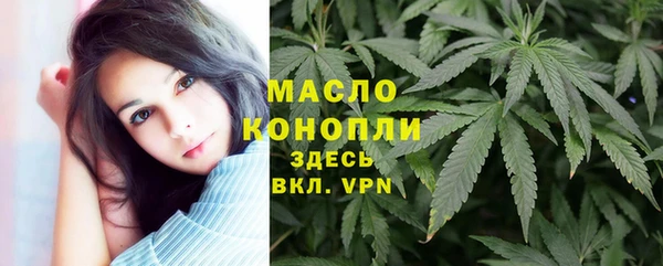 не бодяженный Заводоуковск
