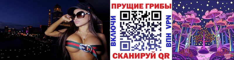 Псилоцибиновые грибы MAGIC MUSHROOMS  наркотики  Новомосковск 