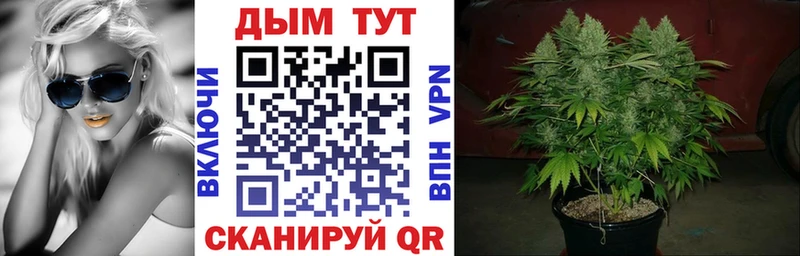 хочу наркоту  Новомосковск  omg tor  Канабис ГИДРОПОН 